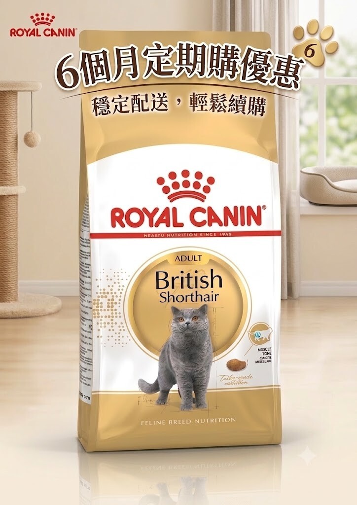 Royal Canin BSH 純種系列 英短成貓專屬配方10kg【定期購 - 6個月】