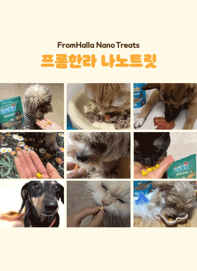 韓國 FromHalla 凍乾小食