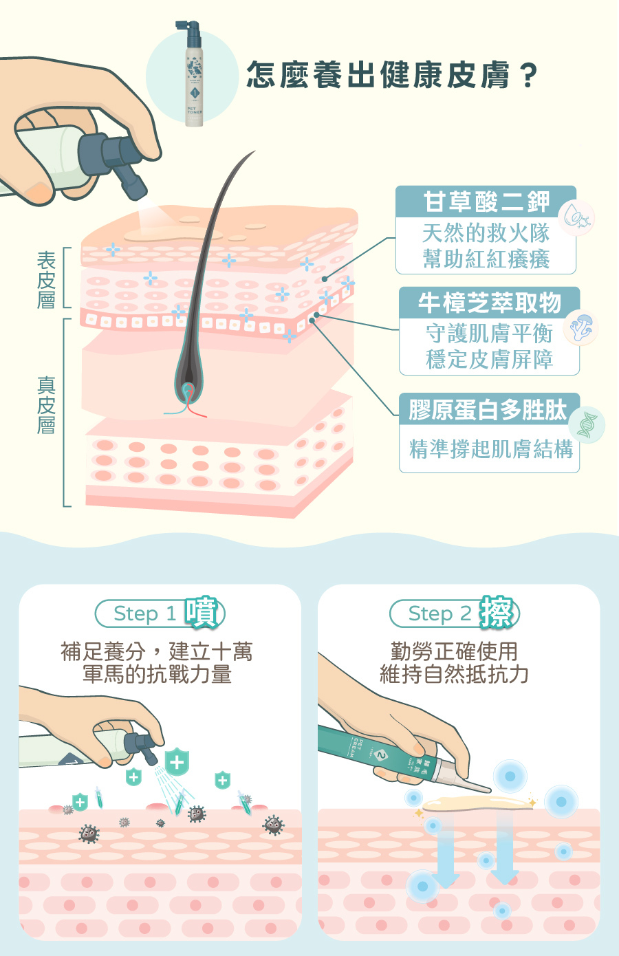 歸毛家族寵物皮膚護理配方,添加甘草酸二鉀與牛樟芝萃取,透過「先噴後擦」輕鬆提升毛孩肌膚防禦力。