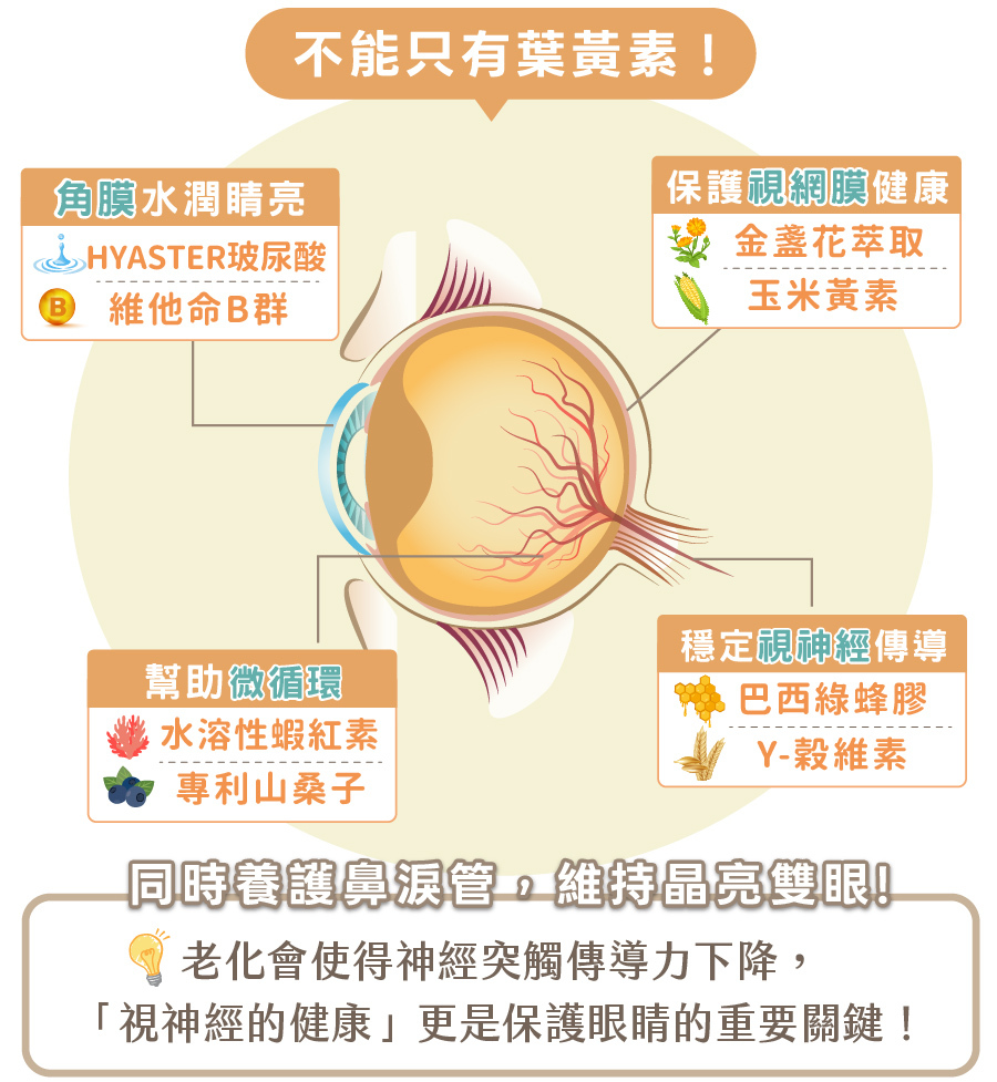 歸毛家族視力寶,結合玻尿酸、山桑子與綠蜂膠等多重複方,全方位養護犬貓視神經與鼻淚管。