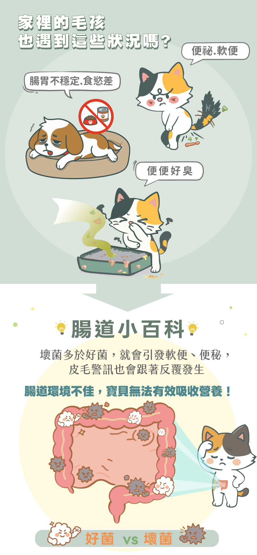 歸毛家族好腸寶寵物益生菌:針對毛孩腸胃不穩定、食慾差、便秘、軟便及便便好臭等腸道問題。腸道小百科科普:壞菌多於好菌會引發犬貓腸胃不適,導致寶貝無法有效吸收營養。