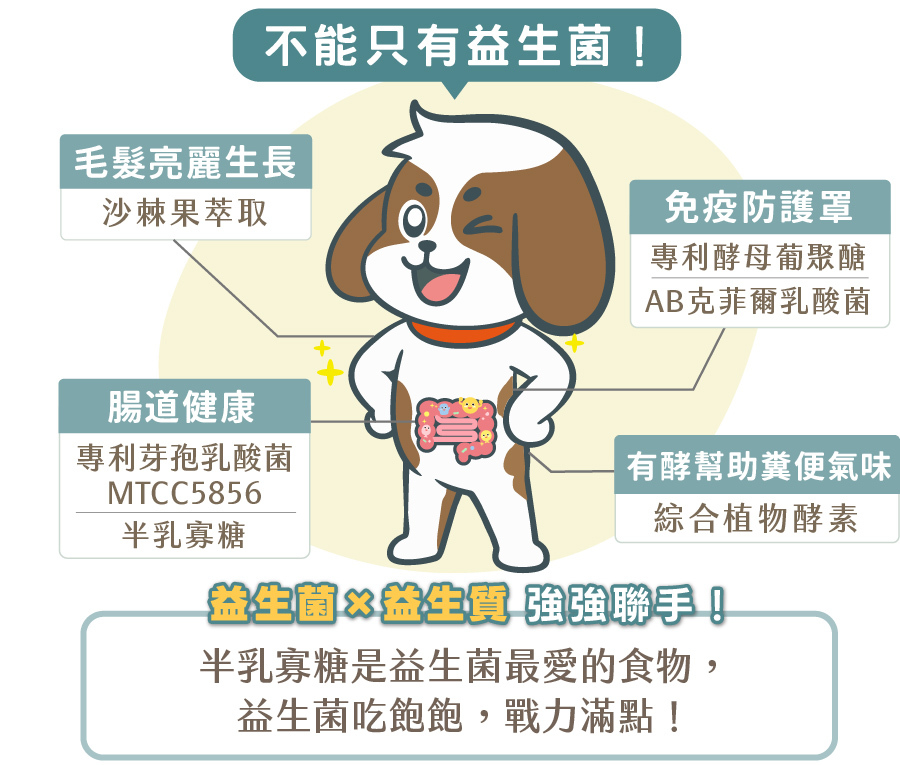 歸毛家族好腸寶全成分與複方功效:專利芽孢乳酸菌 MTCC5856 與半乳寡糖(益生質)強強聯手維護腸道健康;添加沙棘果萃取促進毛髮亮麗生長;專利酵母葡聚醣與 AB 克菲爾乳酸菌打造免疫防護罩;綜合植物酵素有酵幫助改善糞便氣味。