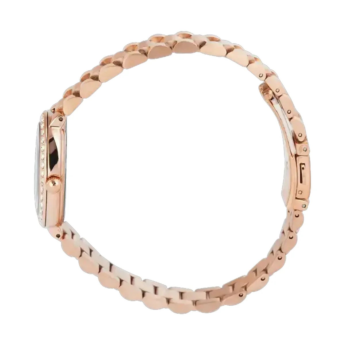 萬年鐘錶 - Alexandre Christie  玫瑰金晶鑽優雅女錶 2C09LHBRGBU  錶徑23MM  (AC 錶)