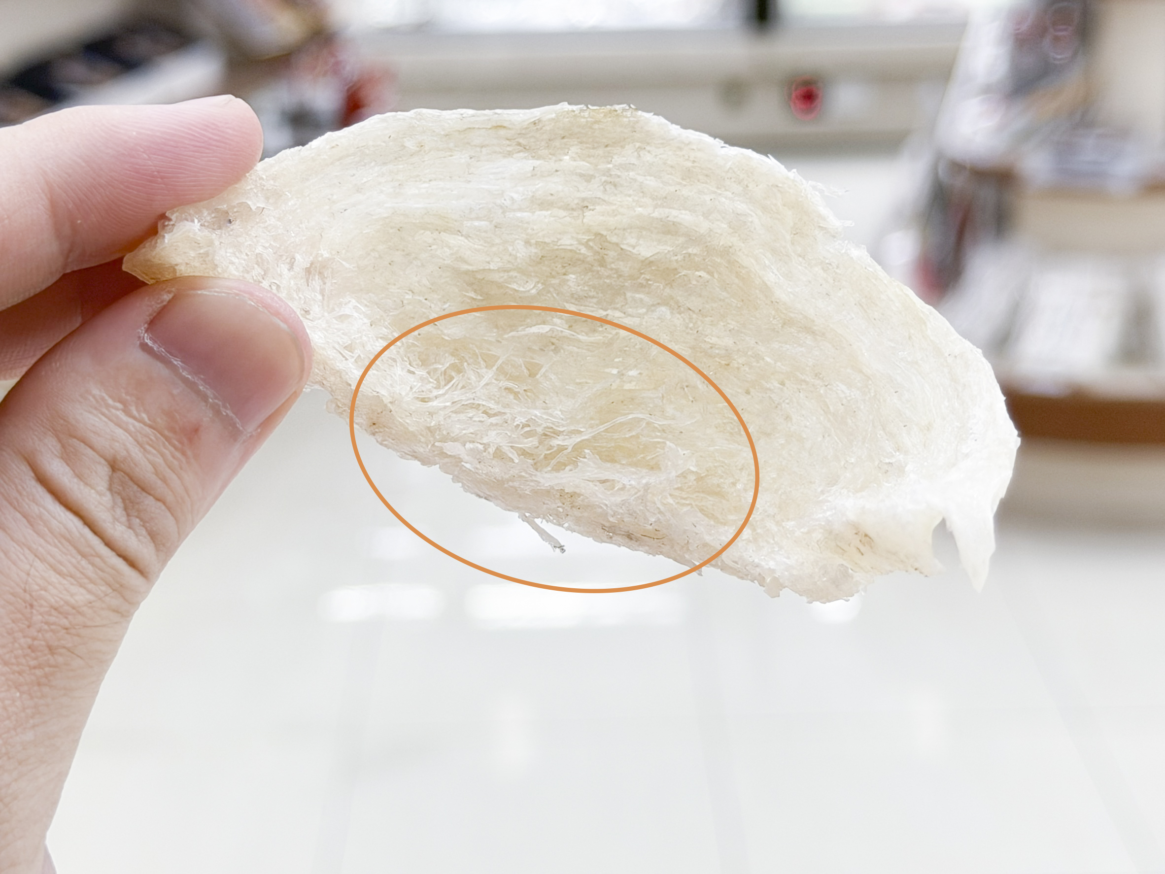 燕碎，燕盞內側修整下來的細碎原料