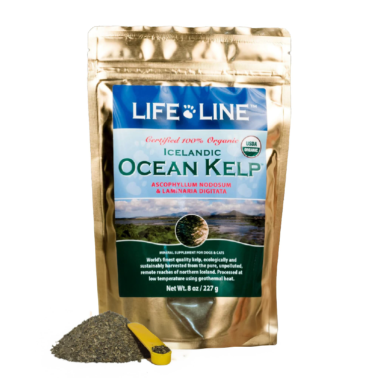 Life Line Organic Ocean Kelp 天然有機海藻粉 8oz