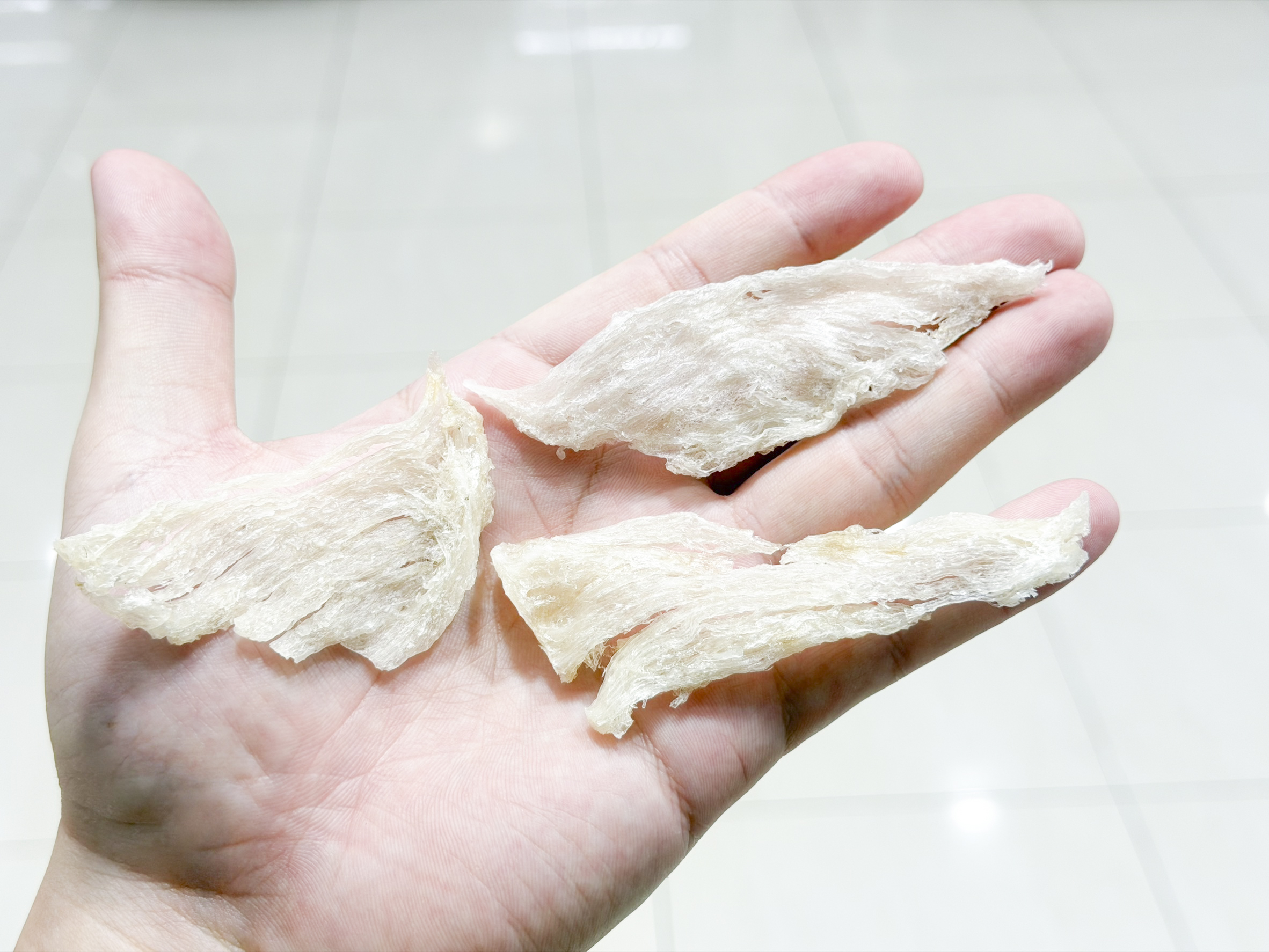 燕條，破裂的燕盞