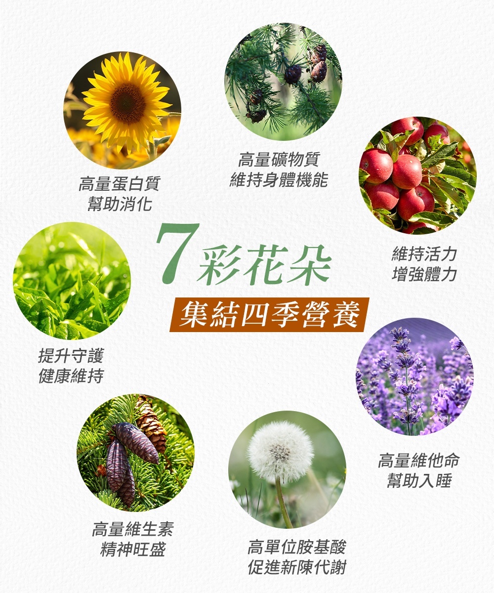 法國瑪莉家族有機七彩蜂花粉功效介紹圖