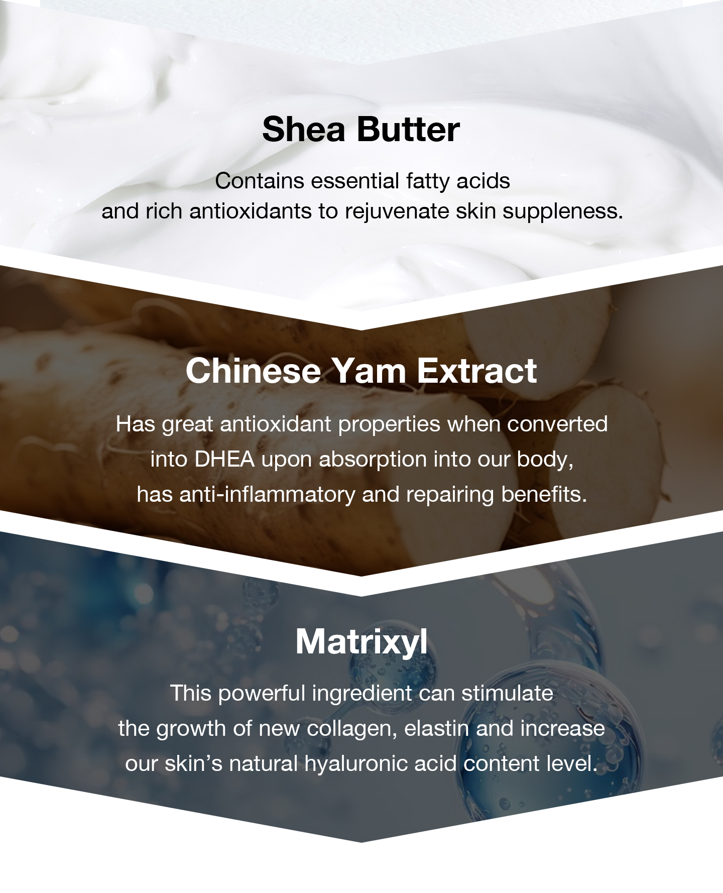 nomel Bio-lipid Melting Rich Cream key hydrating and repairing ingredients diagram