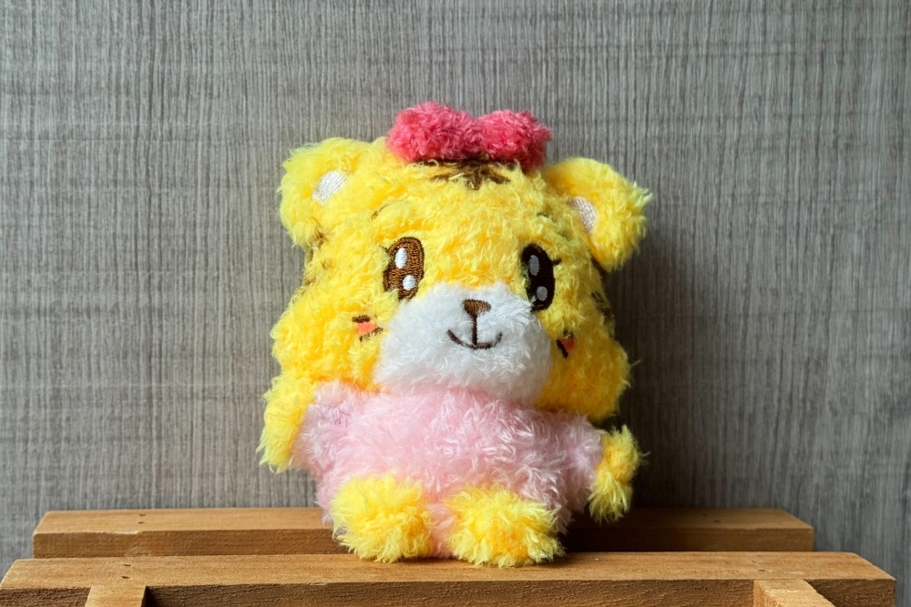 小花 Baby 外出陪伴