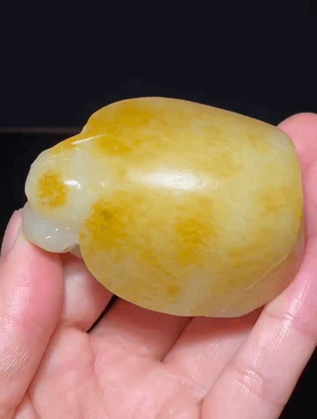 75715 和田玉籽料金黃皮龍龜