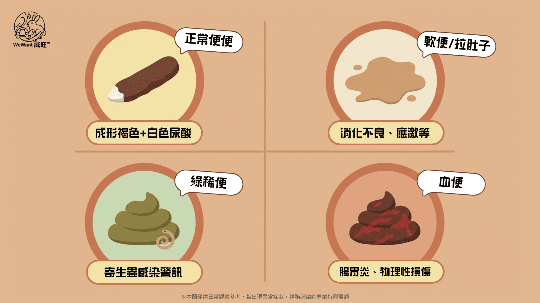 守宮拉肚子與便秘形狀圖鑑：分辨守宮異常大便特徵