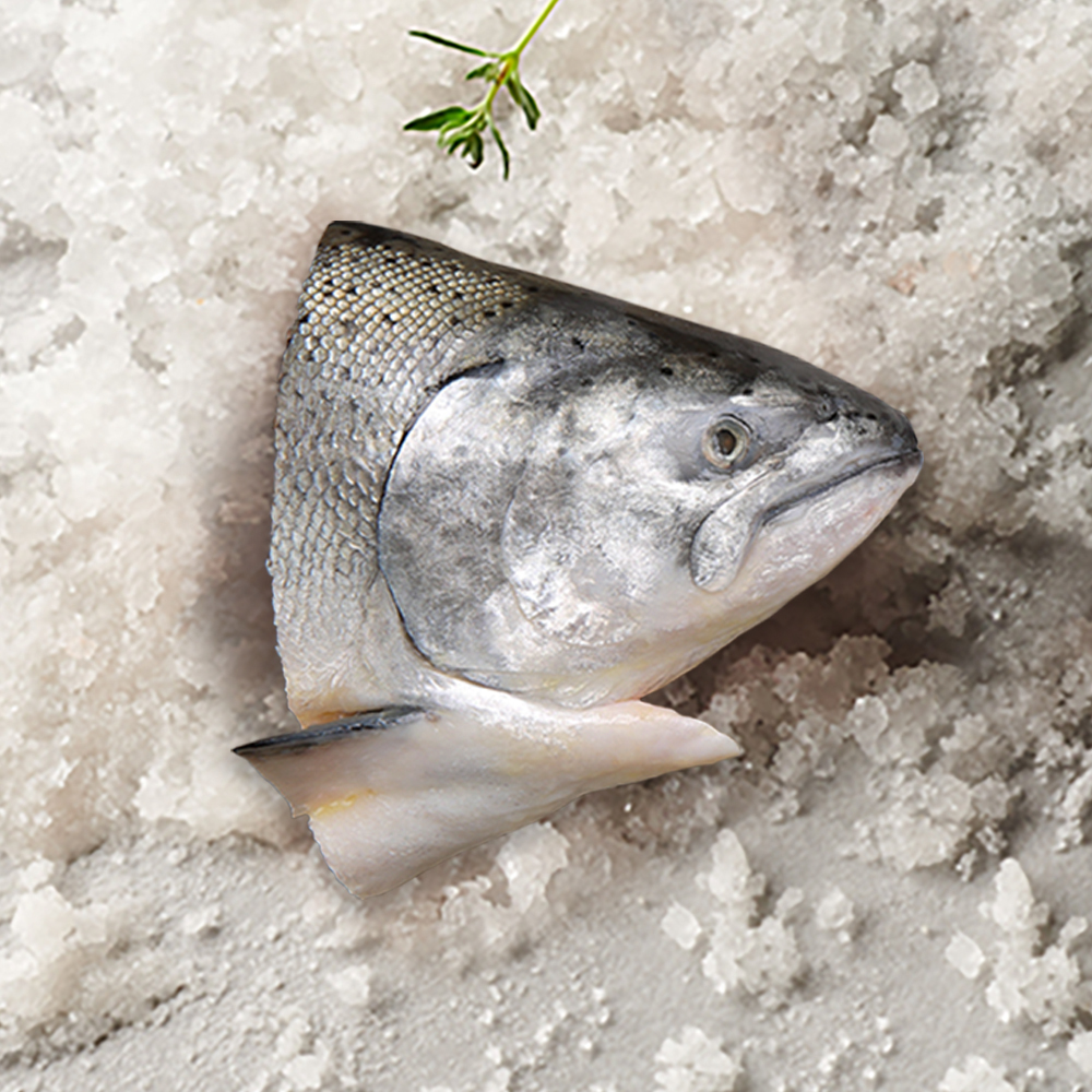 不老鮭鮭魚膠質鮭魚頭 270g 2入組