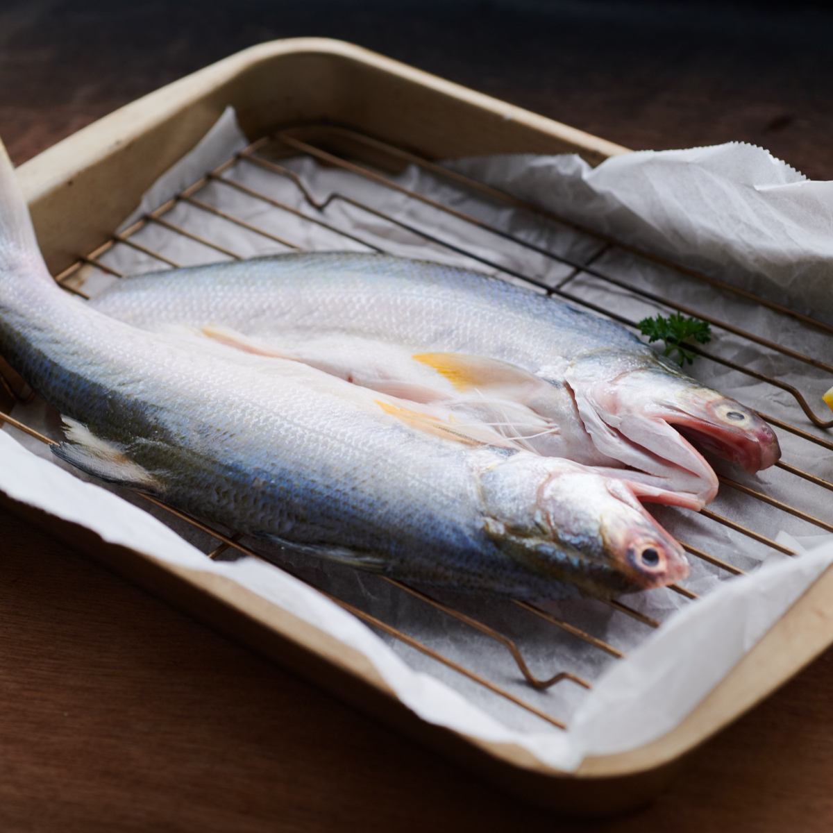 居酒屋｜人氣烤魚組