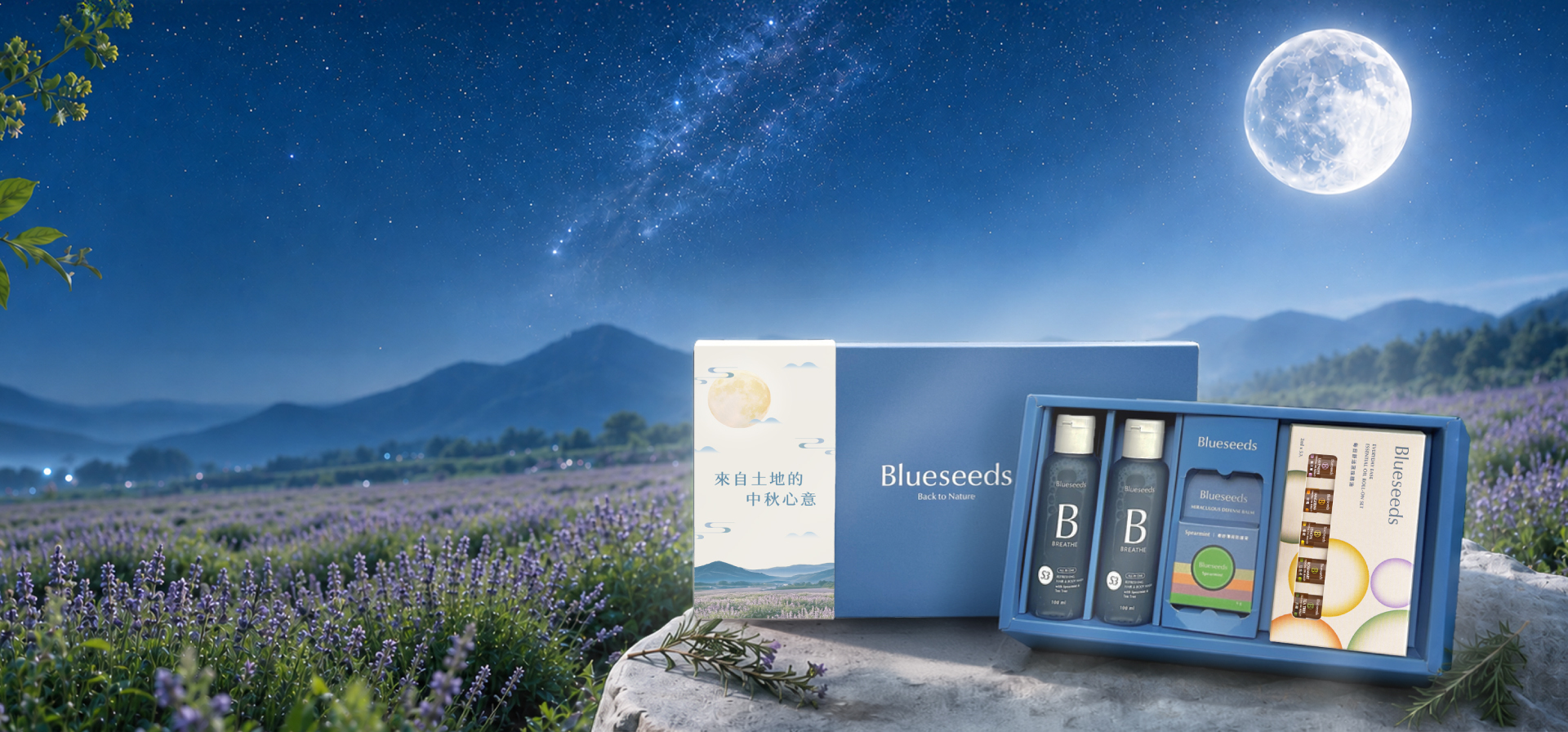 芙彤園 2026 中秋星空主視覺 · 禮盒與月色