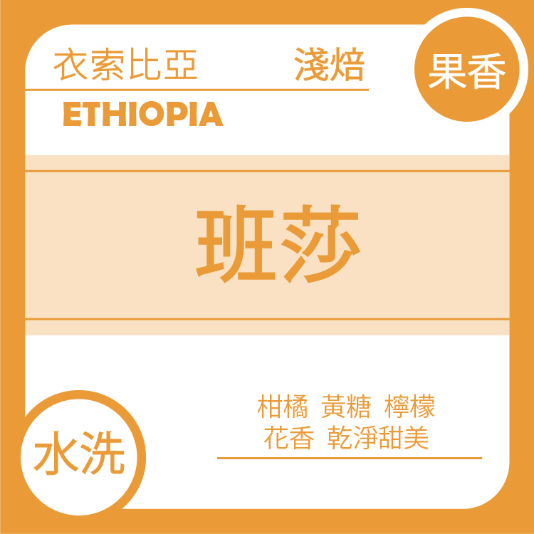 團C【衣索比亞 西達馬 班莎鎮 水洗  】七月單品