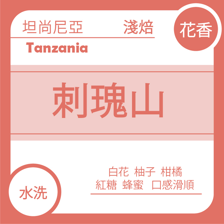 團A【坦尚尼亞  刺瑰山莊園 水洗 藝伎】七月單品