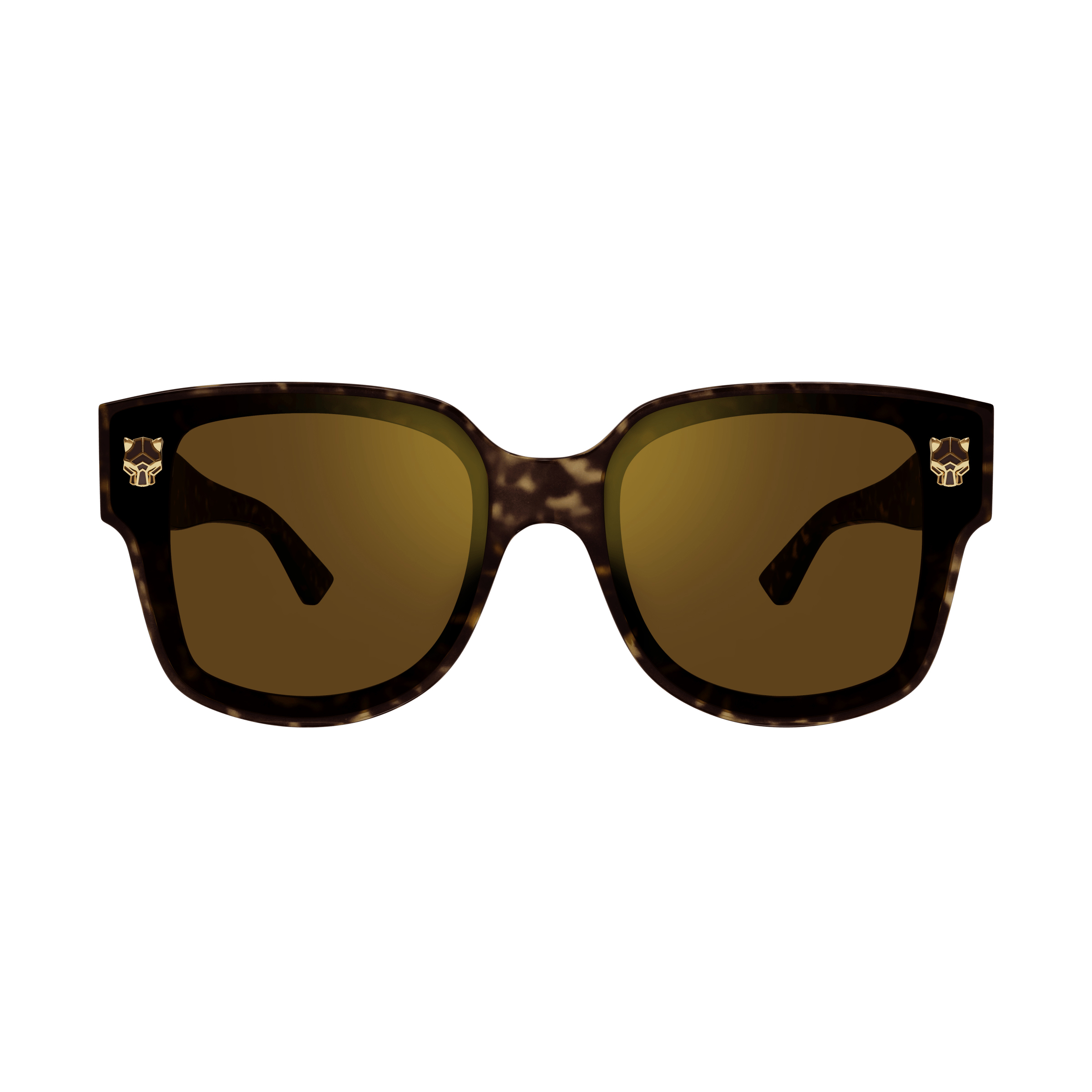 Cartier - CT0357SA／002