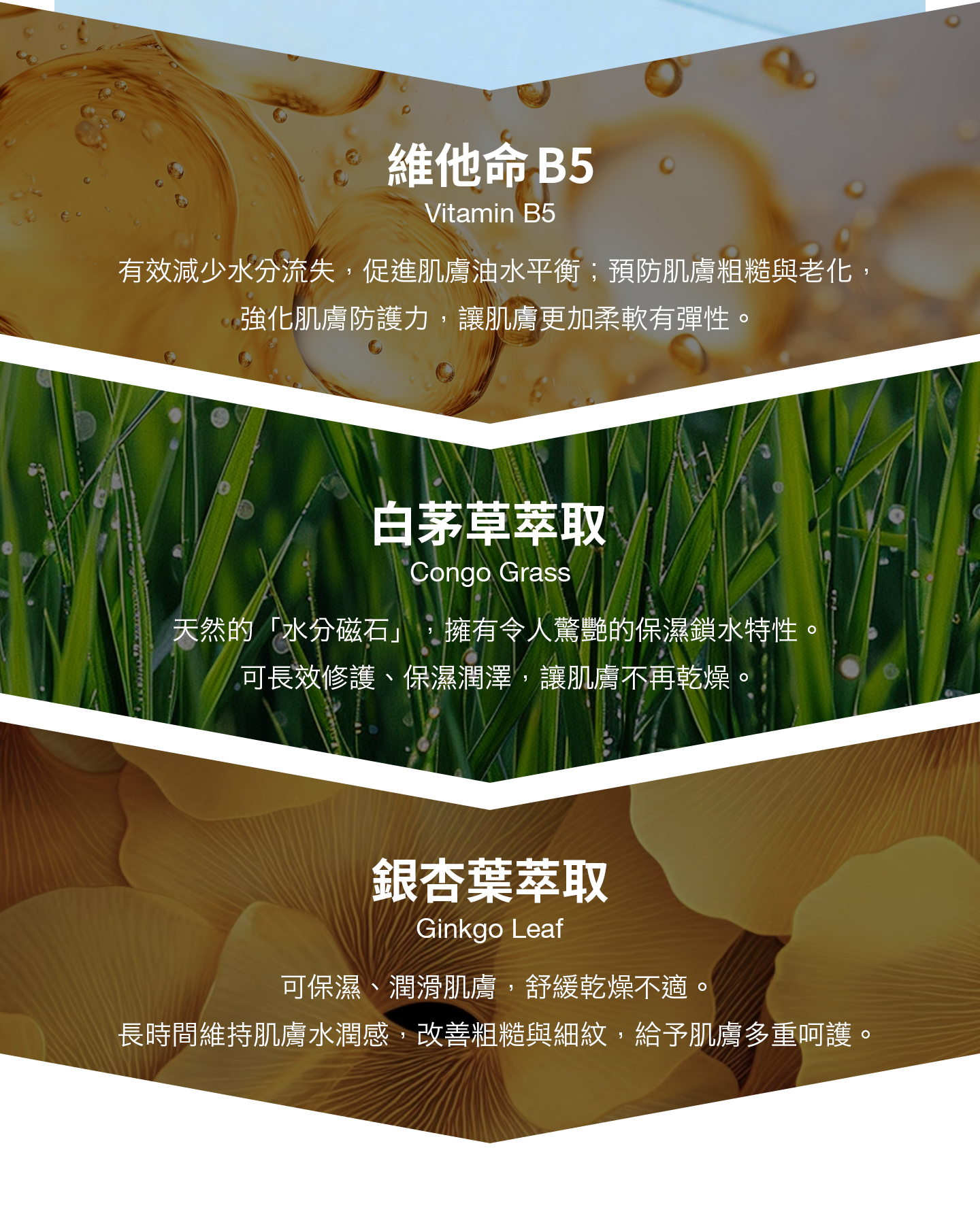 nomel 泉能輕透水凝霜 關鍵保濕成分特寫說明圖