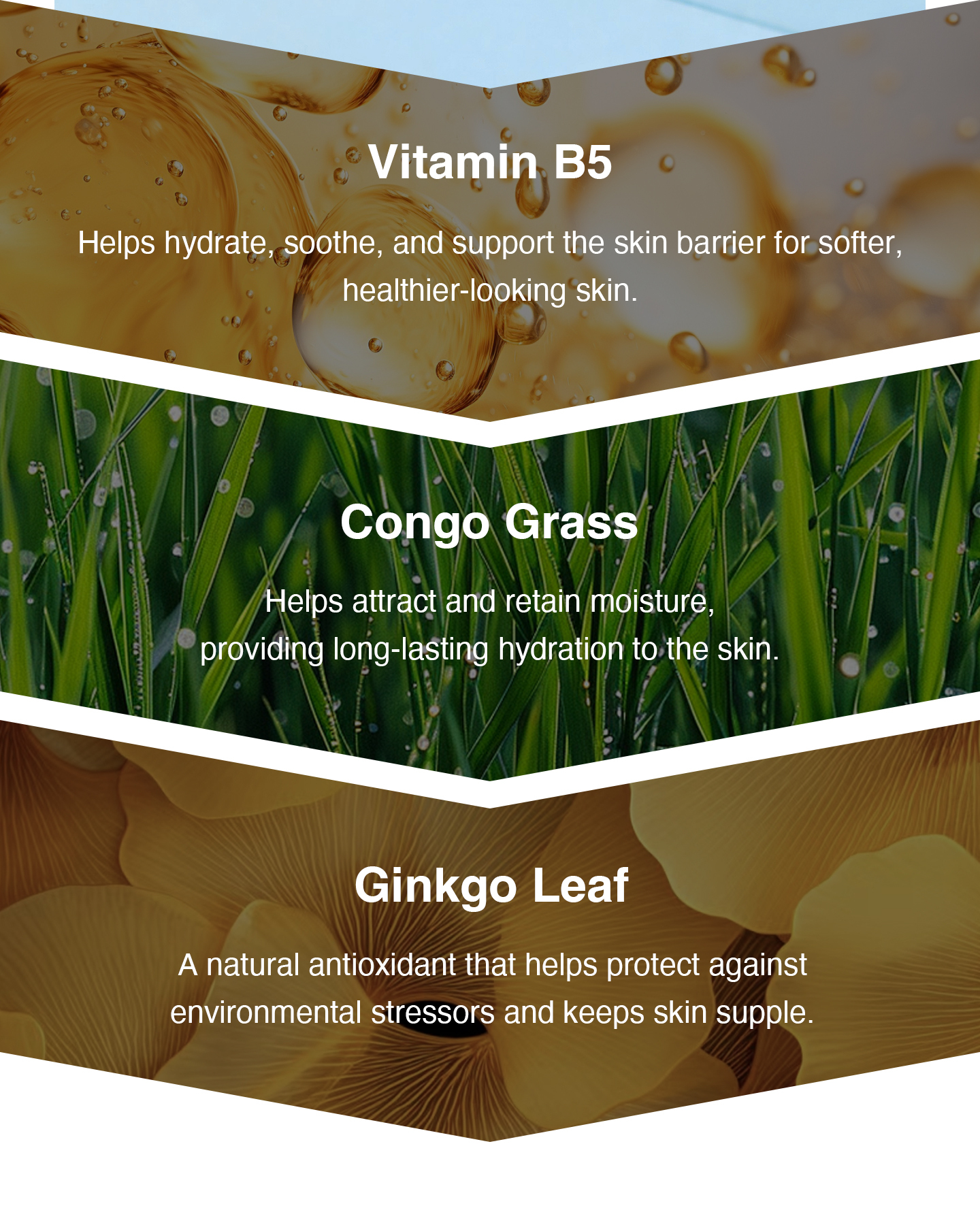 nomel Simple Weightless Gel Cream key hydrating ingredients close-up image