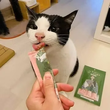 台灣寵心出發 (泥好！鳳菲菲) 天然營養蔬果肉泥｜維護腸道健康 18g x 4本 *貓狗適用*