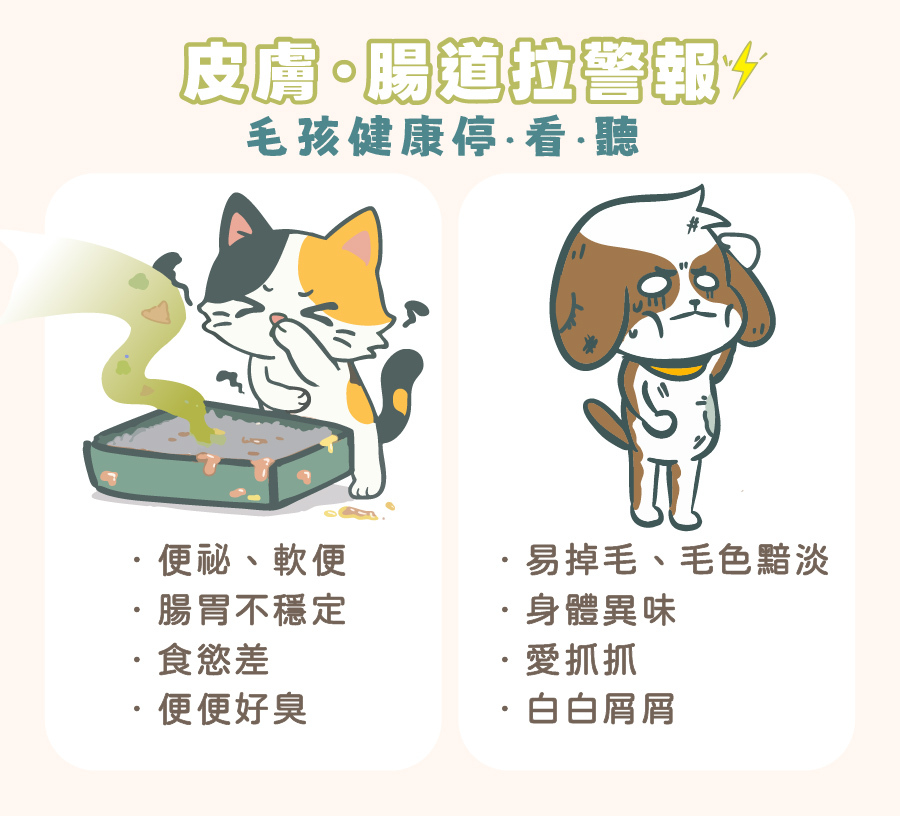 毛孩皮膚與腸道健康警報:貓咪腸胃不適、便便臭,與狗狗易掉毛、身體異味、抓癢等皮毛困擾。