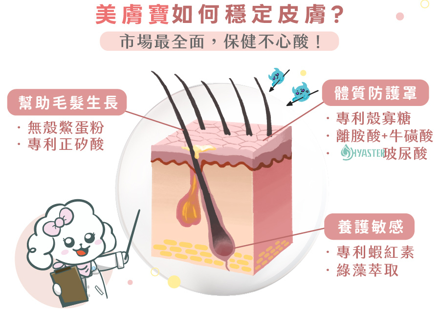 歸毛家族美膚寶寵物皮膚保健成分圖解,富含鱉蛋粉與專利蝦紅素,全面打造毛孩體質防護罩並穩定皮膚。