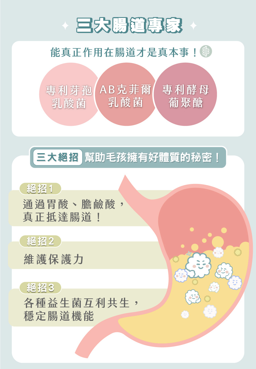 歸毛家族介紹三大腸道益生菌與黃金聖果沙棘果,富含Omega-7等豐富營養,守護犬貓腸胃並打造亮麗毛髮。