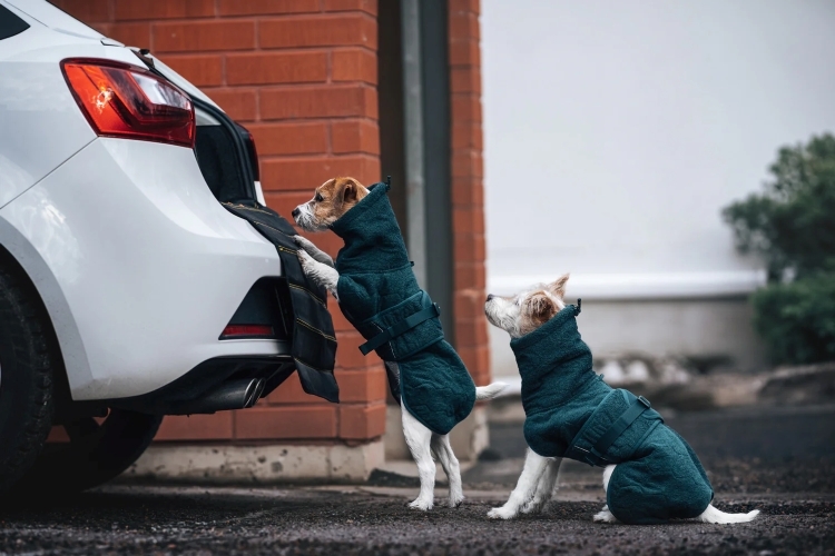 吸水速乾衣（創紀錄瞬乾）｜Non-stop Dogwear