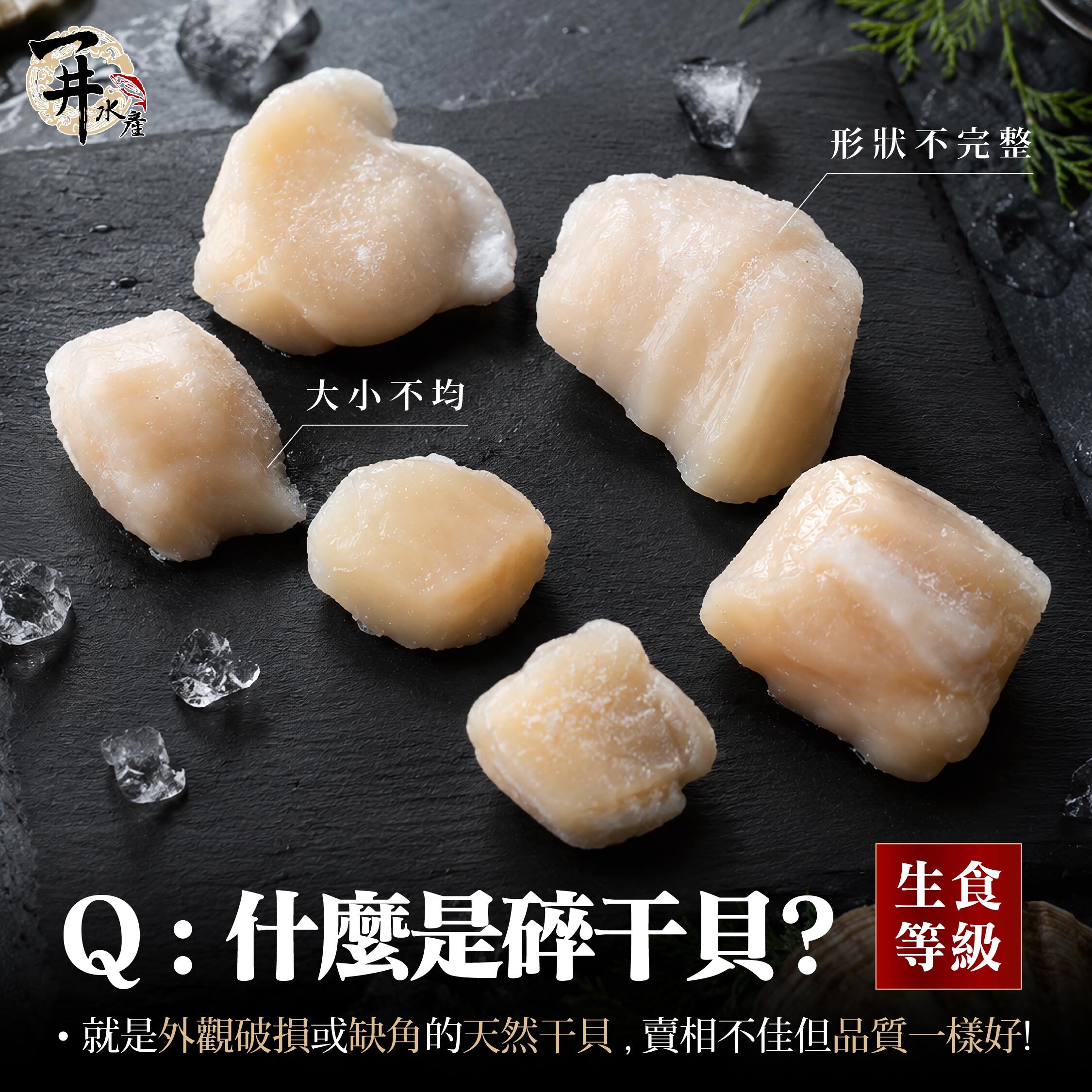 日本北海道 生食級碎干貝
