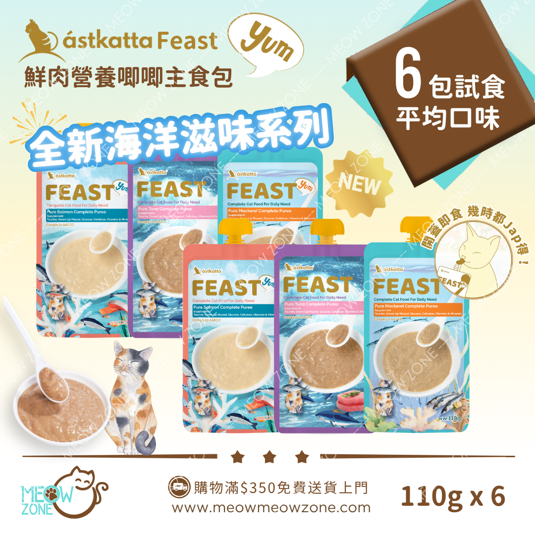 【 新口味✨限時試食優惠 】Astkatta Feast 鮮肉營養唧唧主食包 110g x 6包 (平均口味)