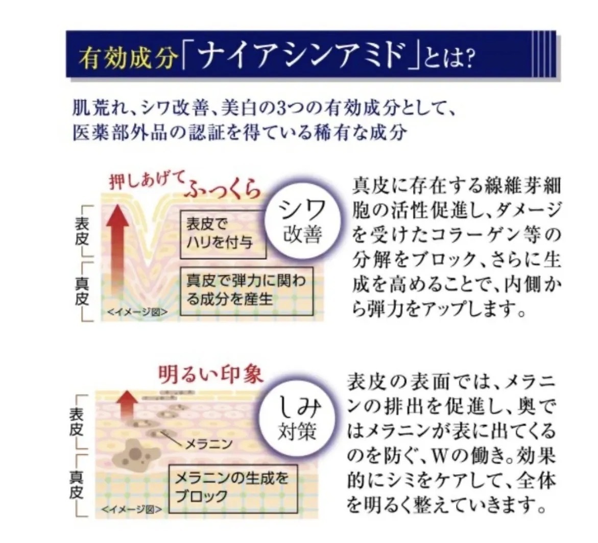 【多莉自用】JP PL 抗皺美白多功能水潤BB霜 30g 9641 TK260717