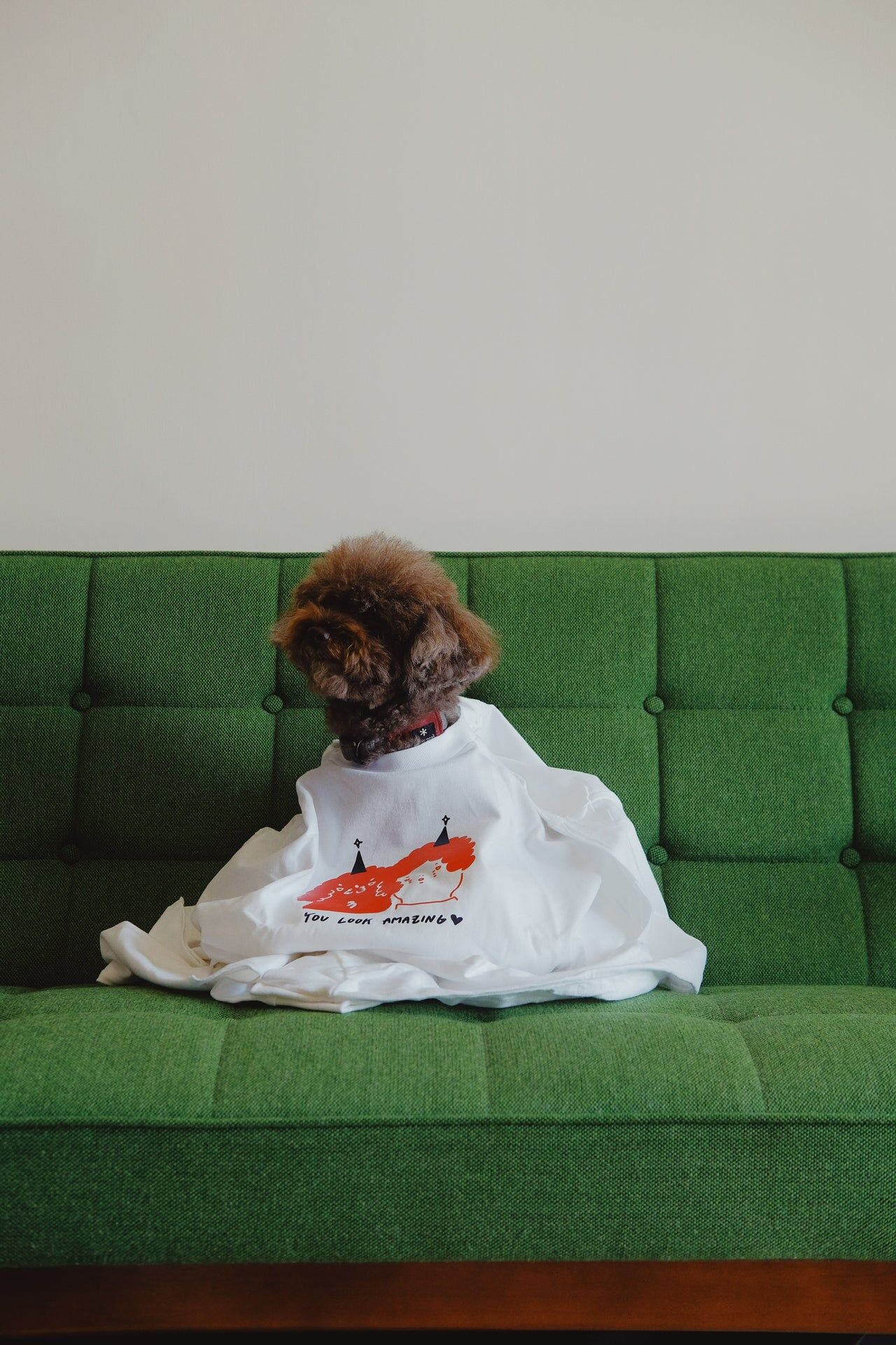 Ilovemyselfself-T-shirt-You Look Amazing