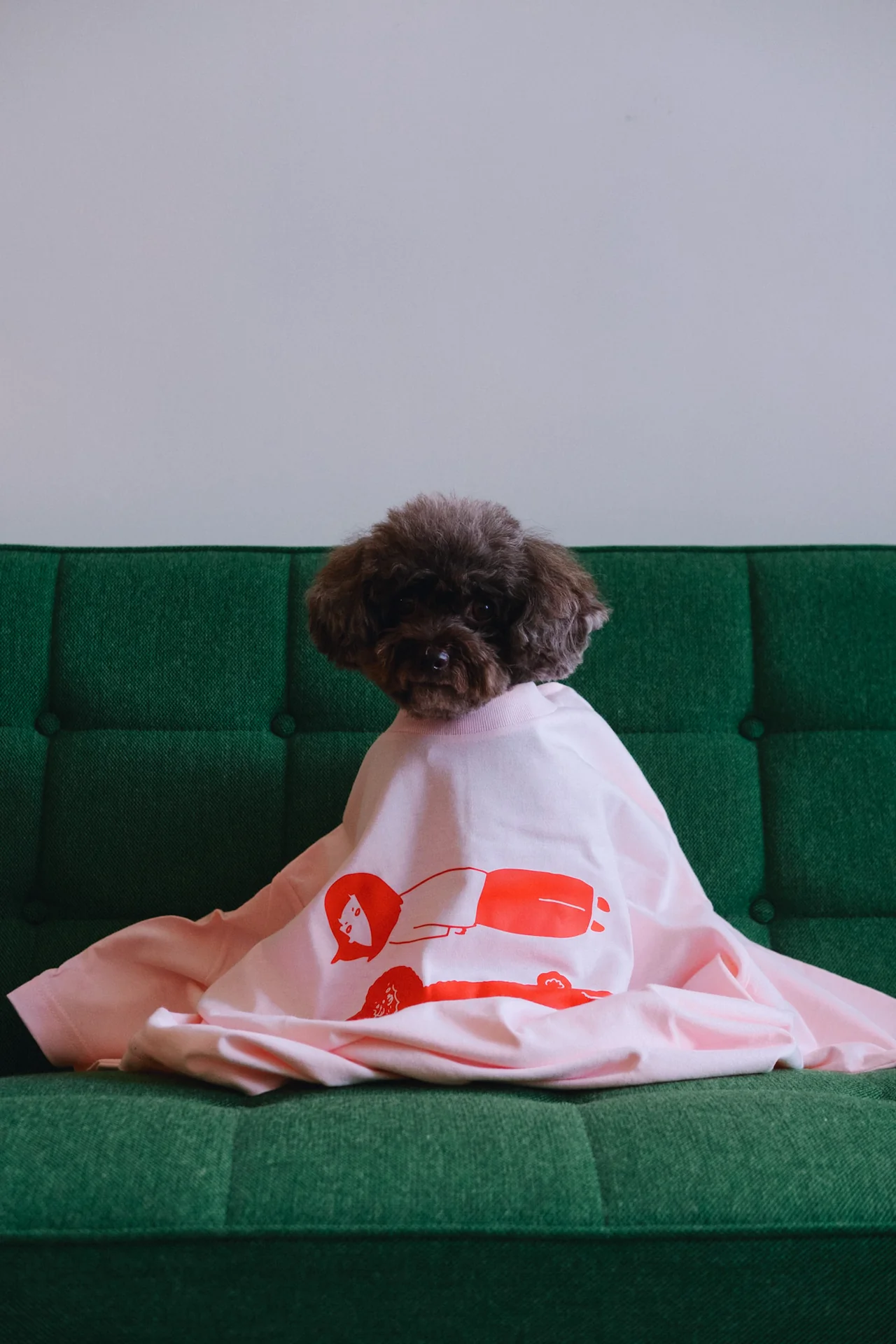 Ilovemyselfself-T-shirt-Day Off With My Dog