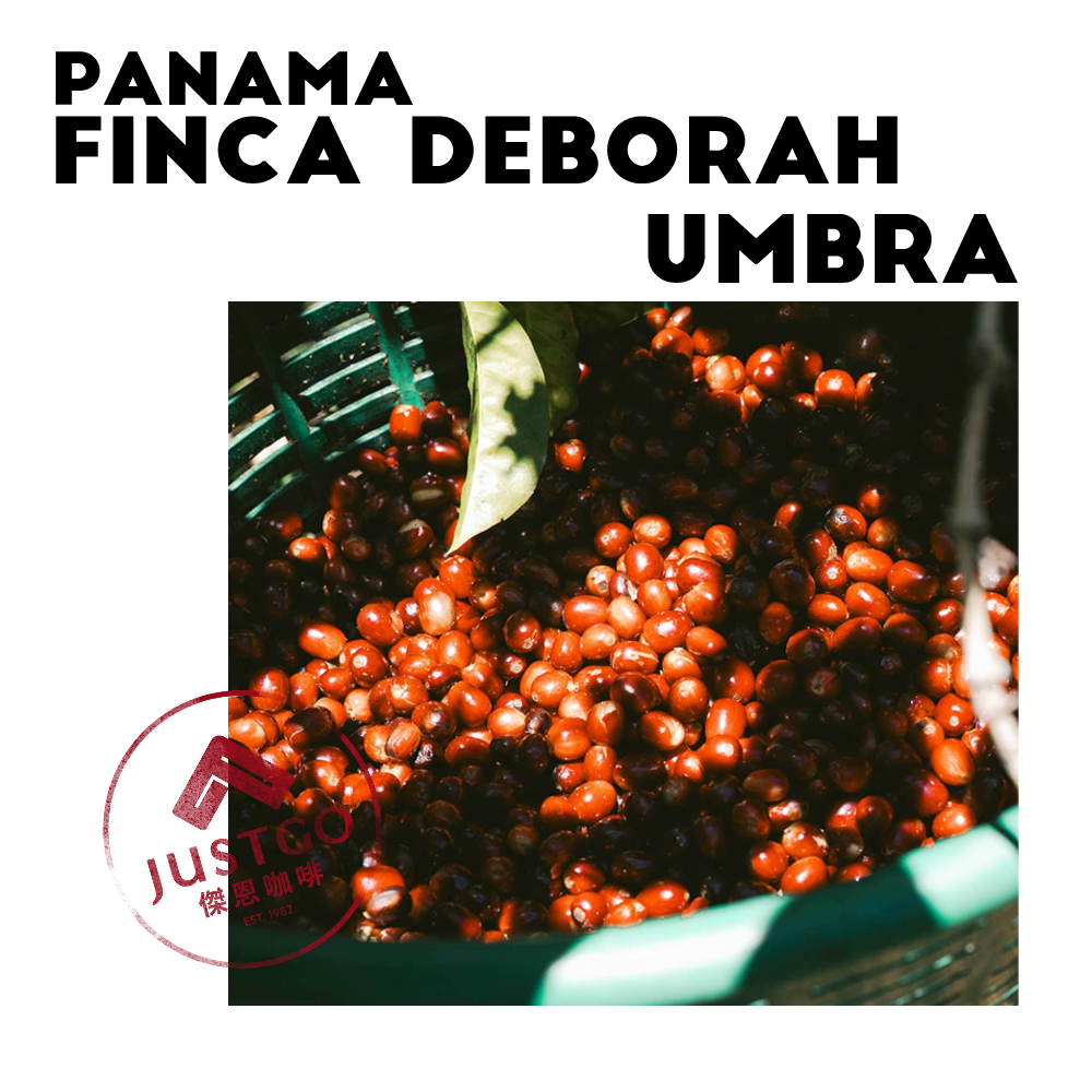 [生豆] 巴拿馬 Finca Deborah Umbra（本影） GESHA 延⾧遮蔭日曬
