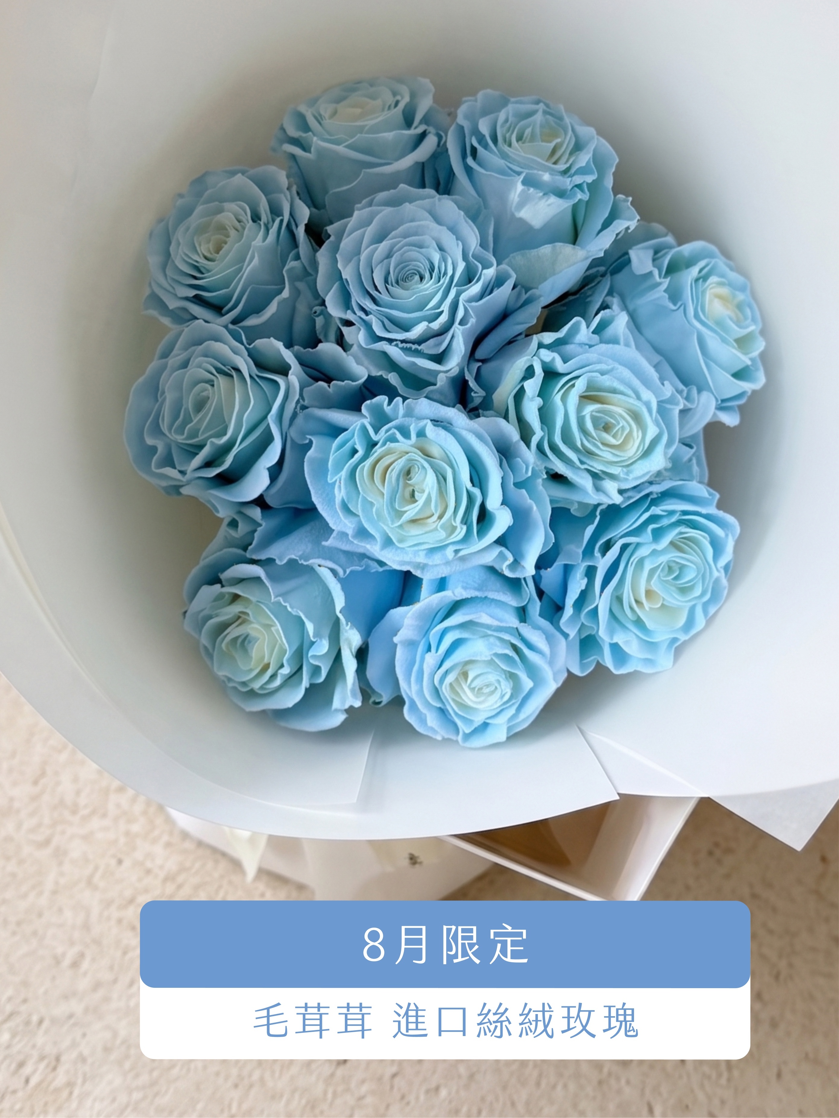 💙 8月限定｜毛茸茸・藍絲絨進口玫瑰