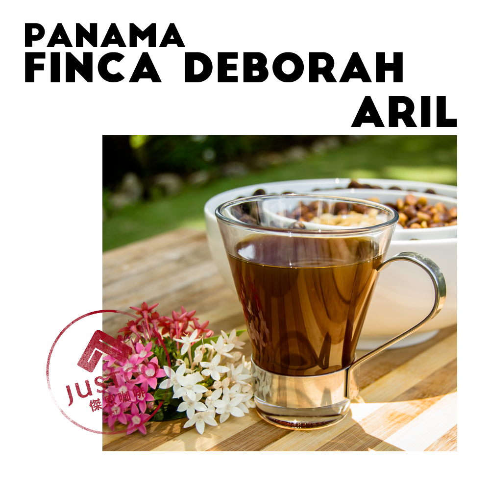 [生豆] 巴拿馬 Finca Deborah Aril（果蜜） GESHA 二氧化碳浸漬延⾧發酵水洗
