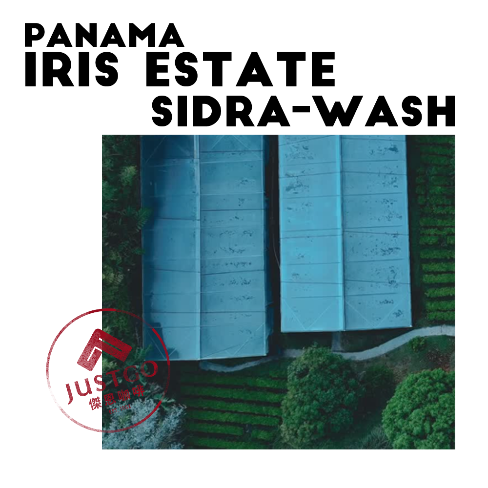 [生豆] 巴拿馬 Iris Estate Sidra 水洗