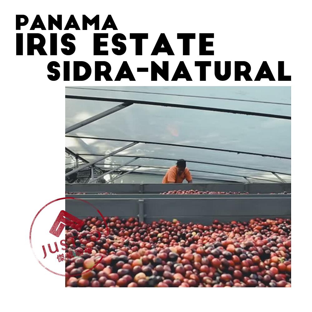 [生豆] 巴拿馬 Iris Estate Sidra 日曬