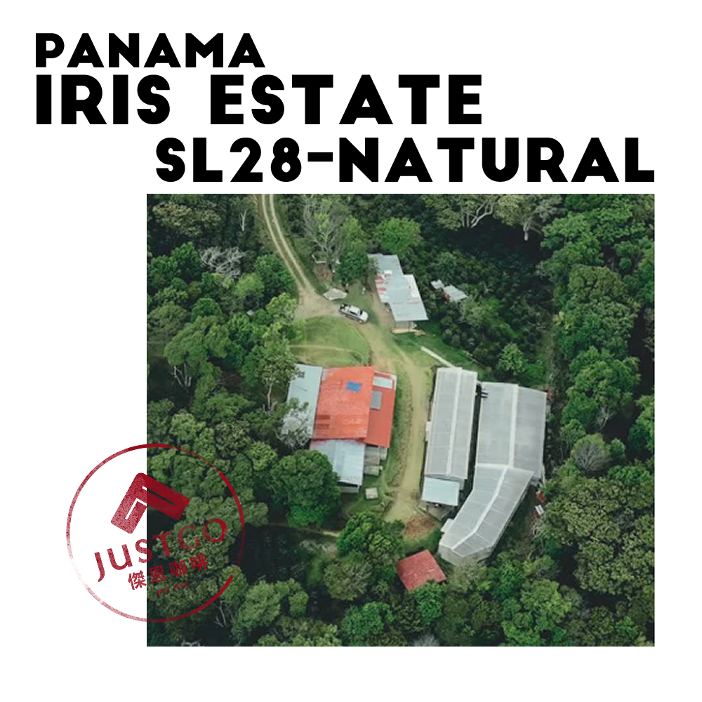 [生豆] 巴拿馬 Iris Estate SL28 日曬