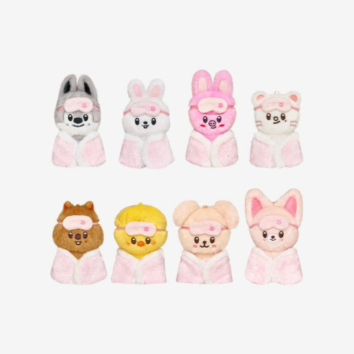 SKZOO STAY in our Little House 10cm plush