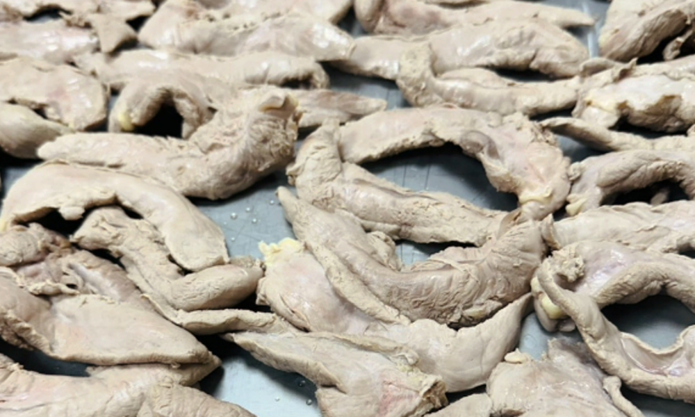 鴨里肌煮熟後冷凍乾燥 製程細節