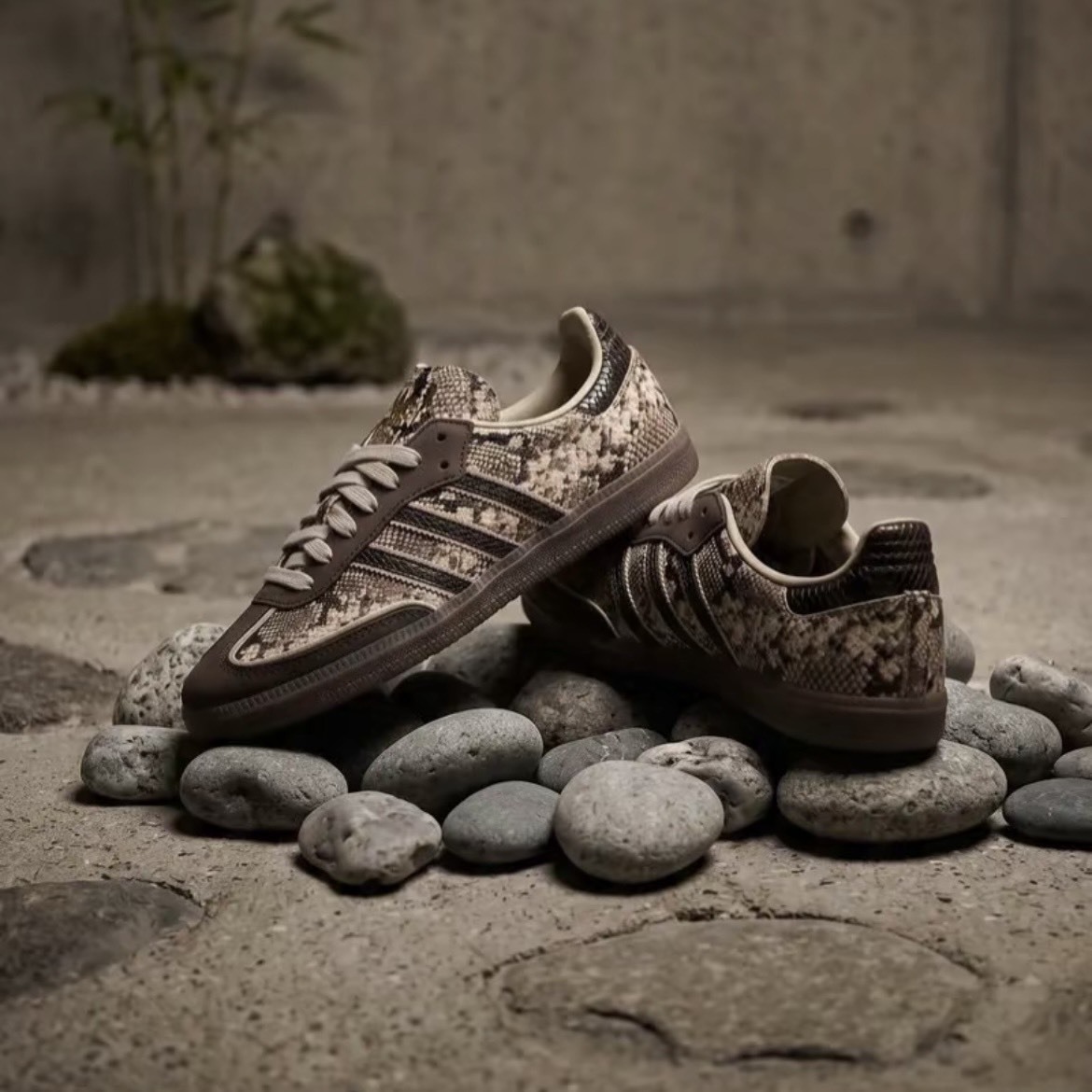【代購】adidas Originals SAMBA OG 德訓鞋 男女同款 卡其棕