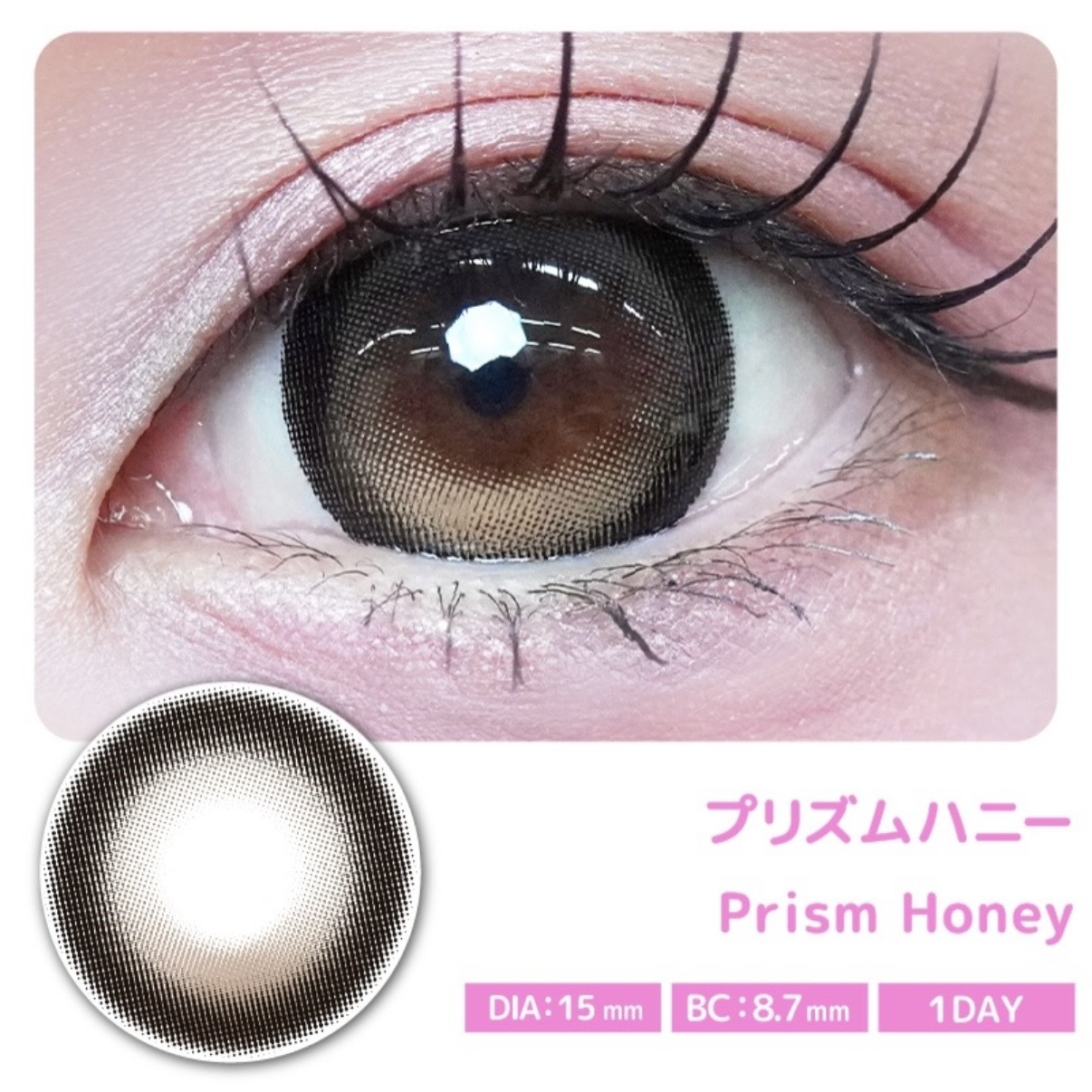 Primore 1 Day (Prism Honey)(10片)