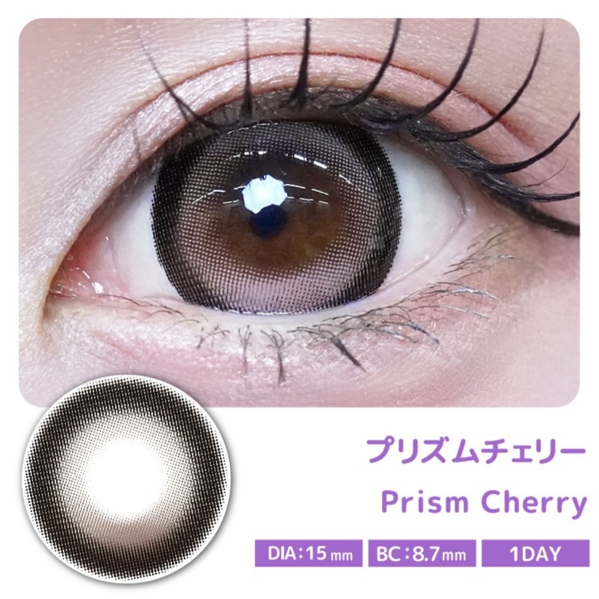 Primore 1 Day (Prism Cherry)(10片)
