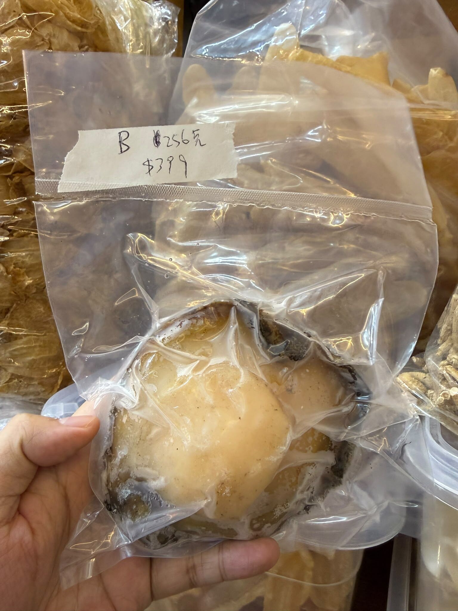 Z147 [[急凍食品]] 高級澳洲黑邊鮑魚(急凍) 每隻開賣 $379起