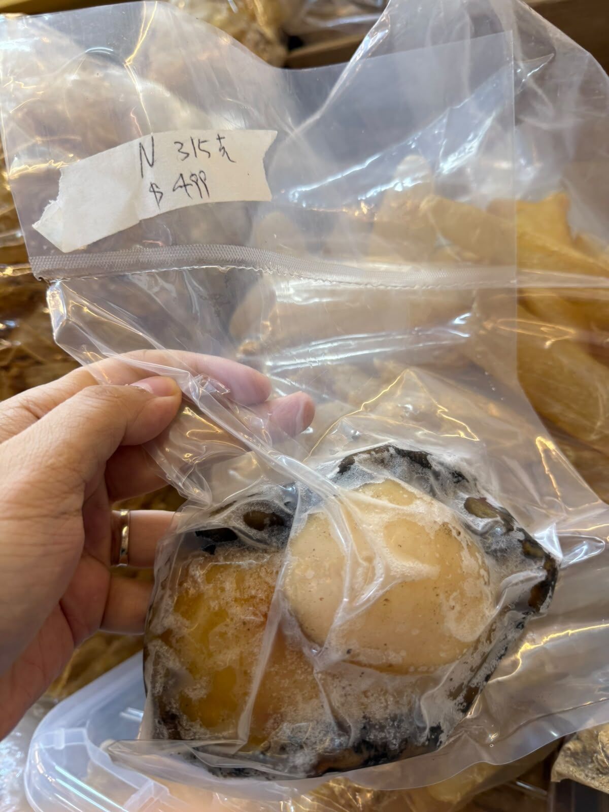 Z147 [[急凍食品]]   高級黑邊鮑魚(急凍) 每隻開賣$399起