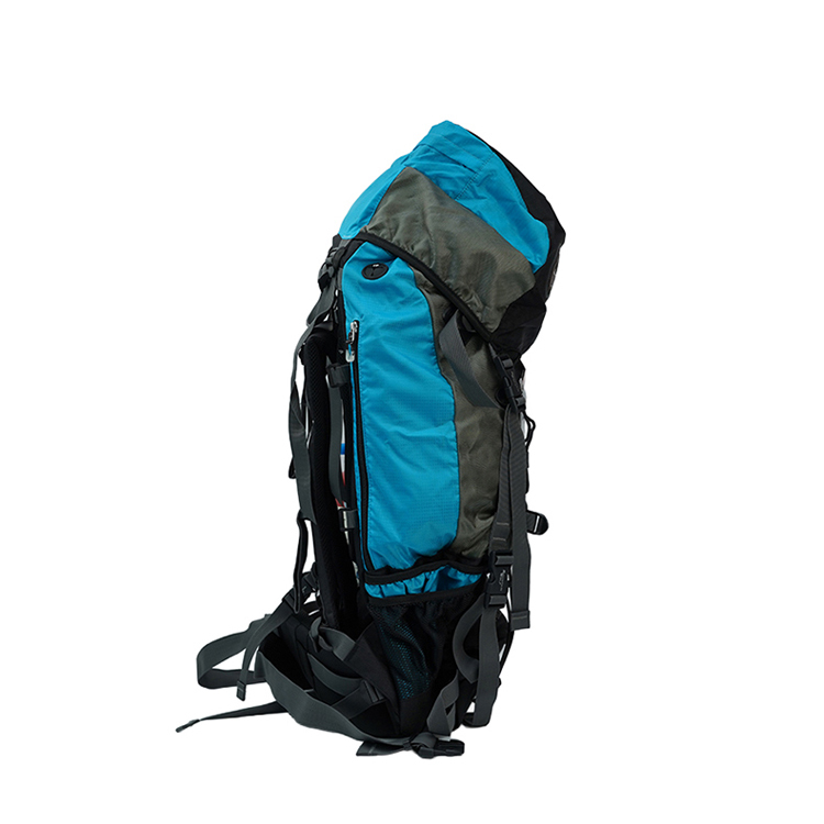 TA-8016 OWL-55L
