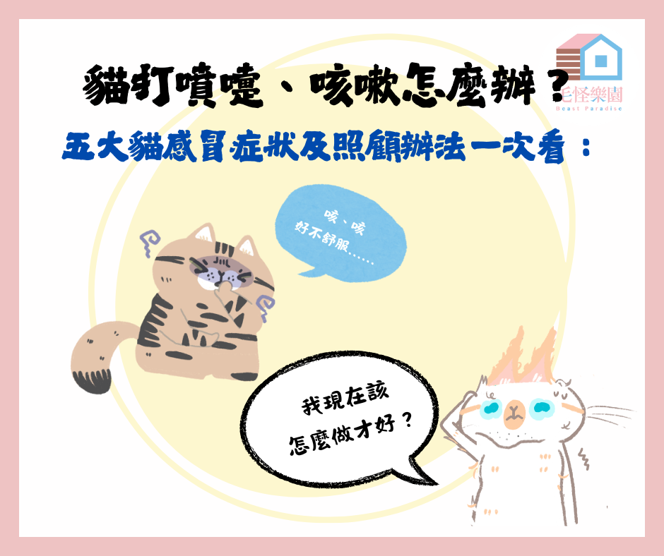 貓打噴嚏