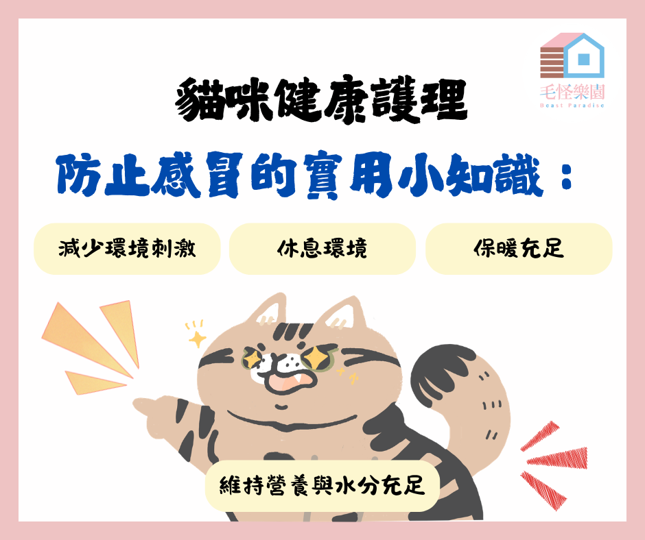 五大防止貓感冒方法