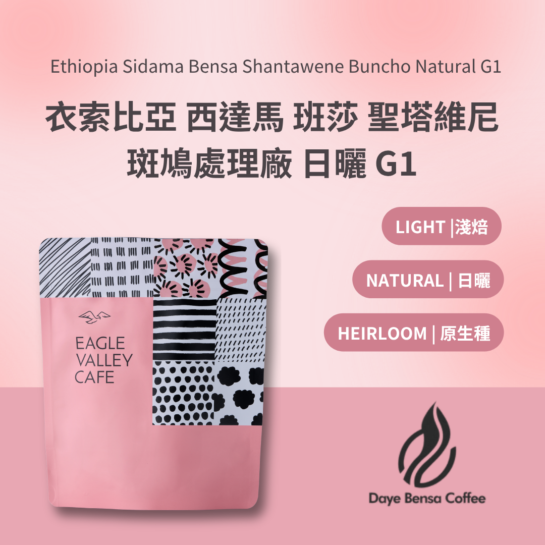 衣索比亞 西達馬 班莎鎮 聖塔維尼 斑鳩處理廠 日曬 G1 淺焙 咖啡豆